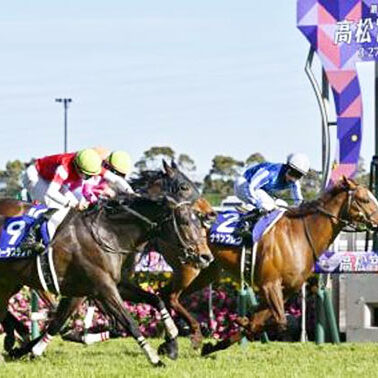 2022.04.14_ano_blog_1