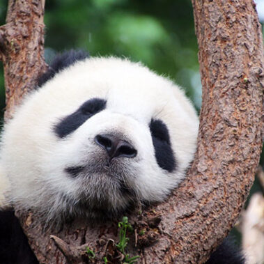 2022.04.18_daito_blog_11