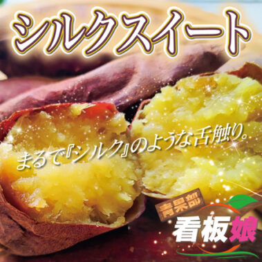 2022.04.23_honbu_blog_9