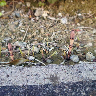 2022.04.26_ekimae_blog_1