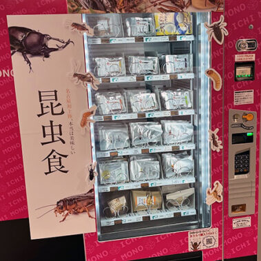 2022.05.06_shinden_blog_11