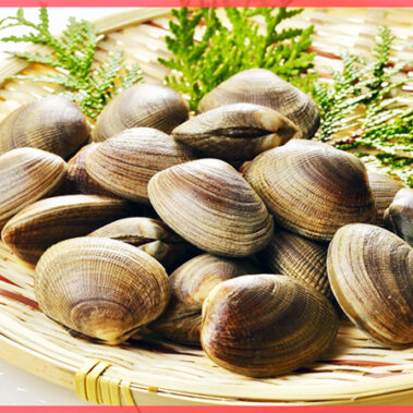 2022.05.09_kuchida_blog_0