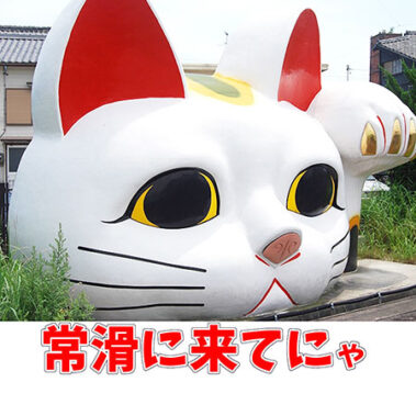 2022.05.22_rinku_blog_22