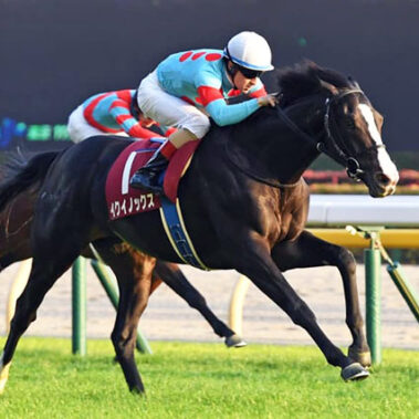 2022.05.28_ano_blog_1