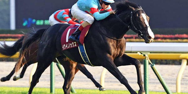 2022.05.28_ano_blog_1