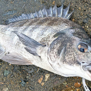 2022.06.27_kyowa_blog_6