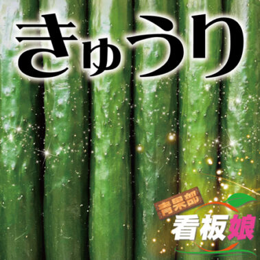 2022.06.30_honbu_blog_0