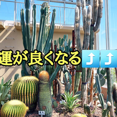 2022.07.23_kuchida_blog_4