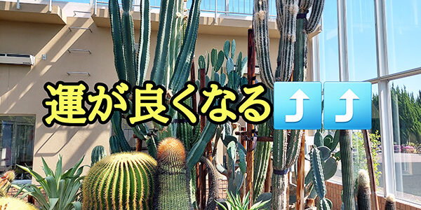 2022.07.23_kuchida_blog_4