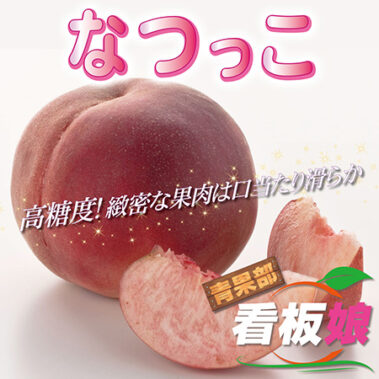 2022.07.31_honbu_blog_9