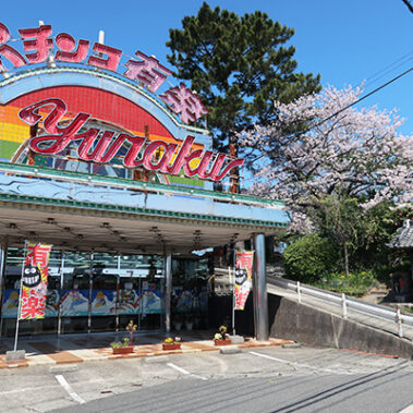 2022.08.01_honten_blog_0