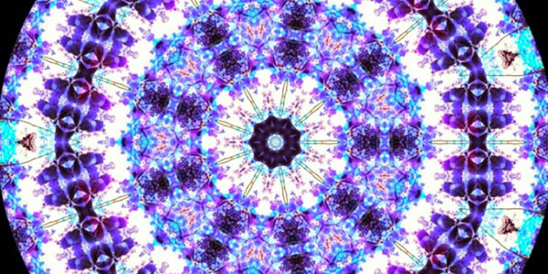 2022.08.17_sumiyoshi_blog_15