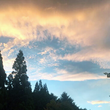 2022.08.26_ekimae_blog_0