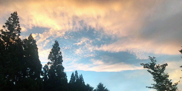 2022.08.26_ekimae_blog_0