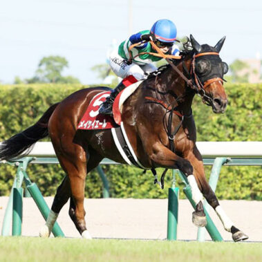 2022.09.28_ano_blog_1