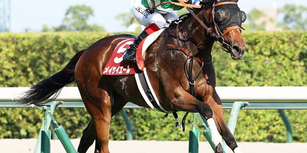 2022.09.28_ano_blog_1