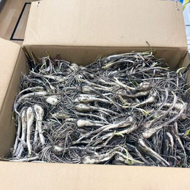 2022.11.02_kinuura_blog_0