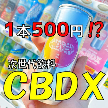 2022.11.05_higashihama_blog_9