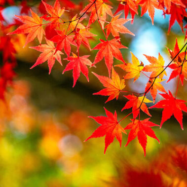 2022.11.09_kuchida_blog_1