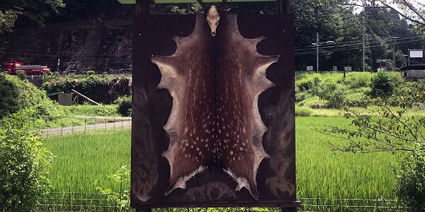 2022.11.12_ekimae_blog_0