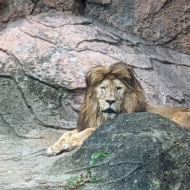 2022.11.18_daito_blog_7