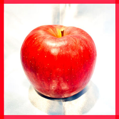 2022.11.23_kuchida_blog_11