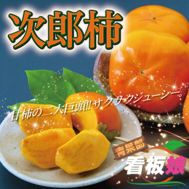 2022.11.30_honbu_blog_9