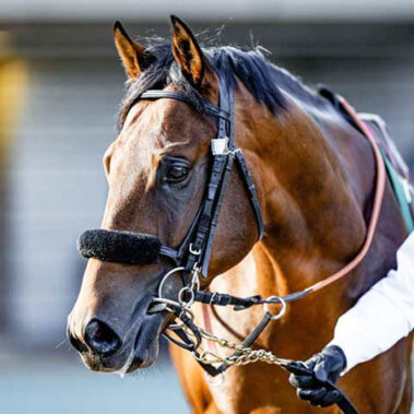 2022.12.06_shinden_blog_10