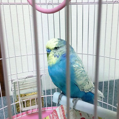 2022.12.09_kuchida_blog_2