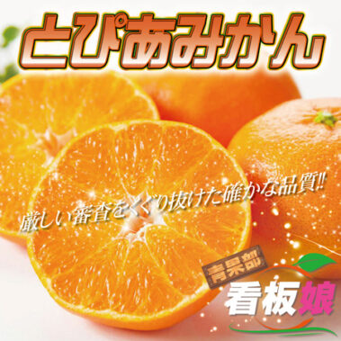 2022.12.15_honbu_blog_0