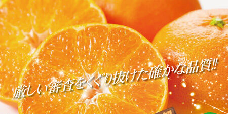 2022.12.15_honbu_blog_0