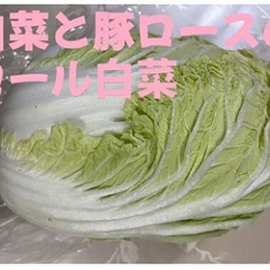 2023.01.02_kinuura_blog_0