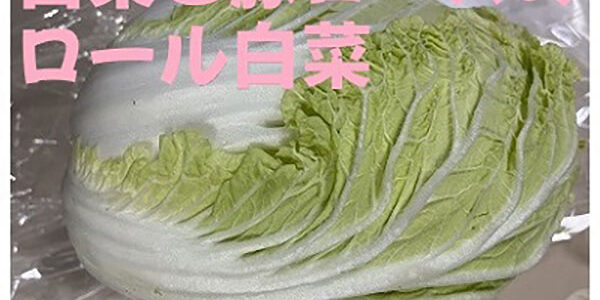 2023.01.02_kinuura_blog_0