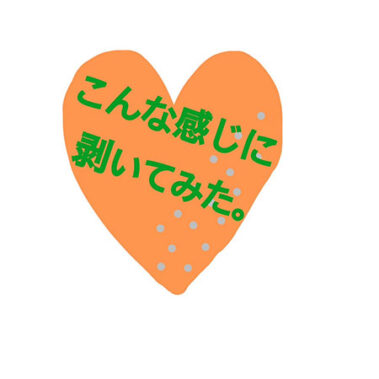 2023.02.02_kinuura_blog_0