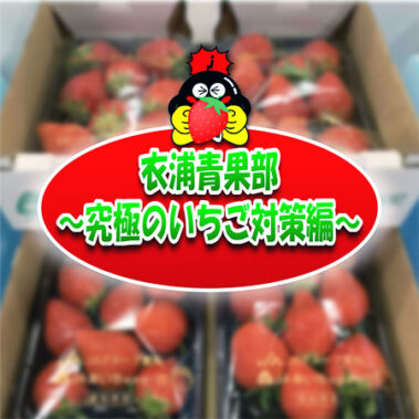 2023.02.16_kinuura_blog_0-syusei