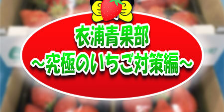 2023.02.16_kinuura_blog_0-syusei