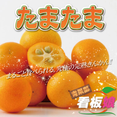 2023.02.21_honbu_blog_0