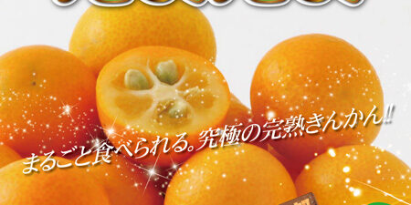 2023.02.21_honbu_blog_0