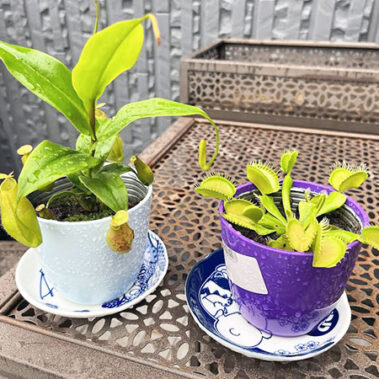 2023.03.02_kinuura_blog_0