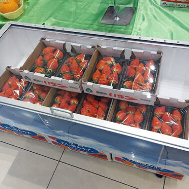 2023.03.08_rinku_blog_15