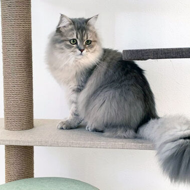 2023.03.11_morioka_blog_4