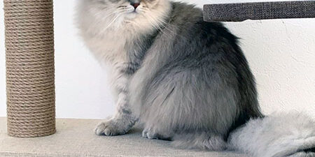 2023.03.11_morioka_blog_4