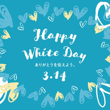 2023.03.13_kyowa_blog_1