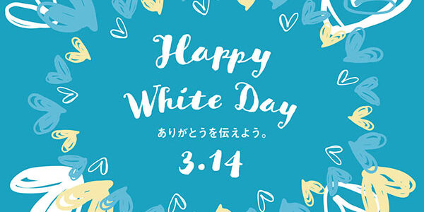 2023.03.13_kyowa_blog_1