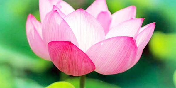 2023.04.26_ekimae_blog_0