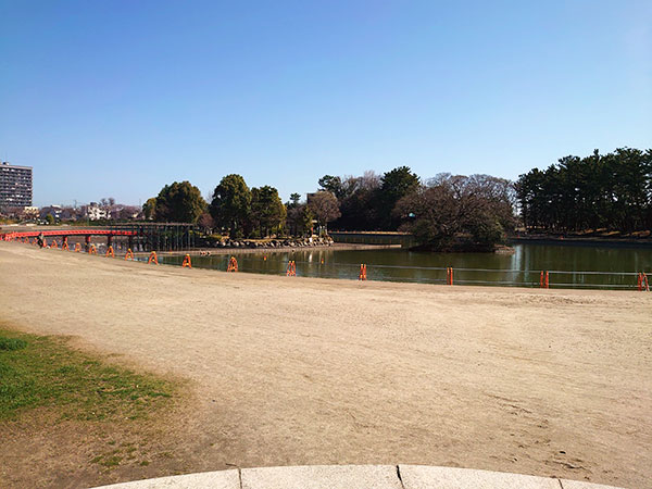 公園の池
