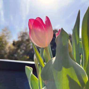 2023.05.16_kinuura_blog_0