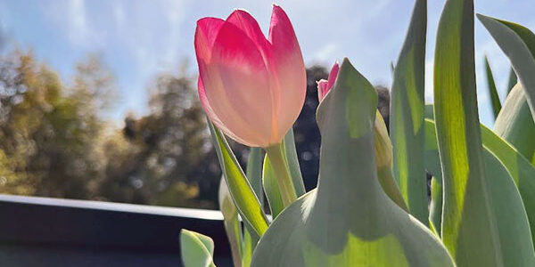 2023.05.16_kinuura_blog_0