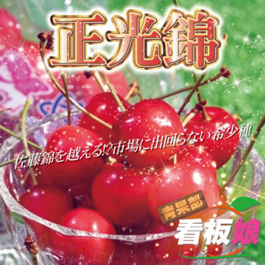 2023.05.25_honbu_blog_0