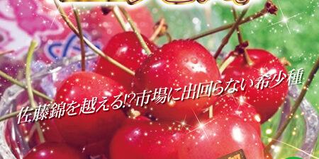 2023.05.25_honbu_blog_0